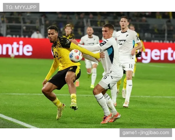 霍芬海姆主场力克多特蒙德 积分反超药厂升至第五位